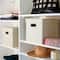 Household Essentials Storage Bins with Lids, 2ct.